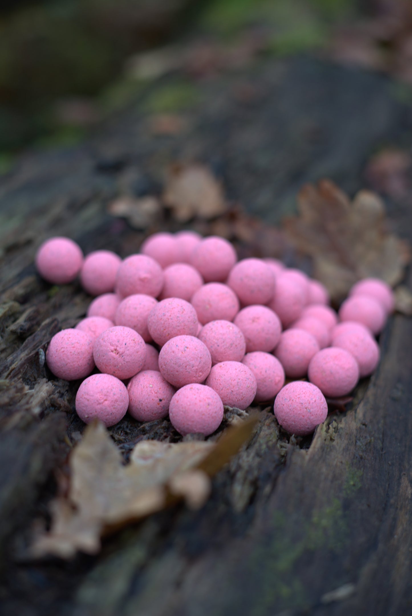 Fruity Icecream Boilies