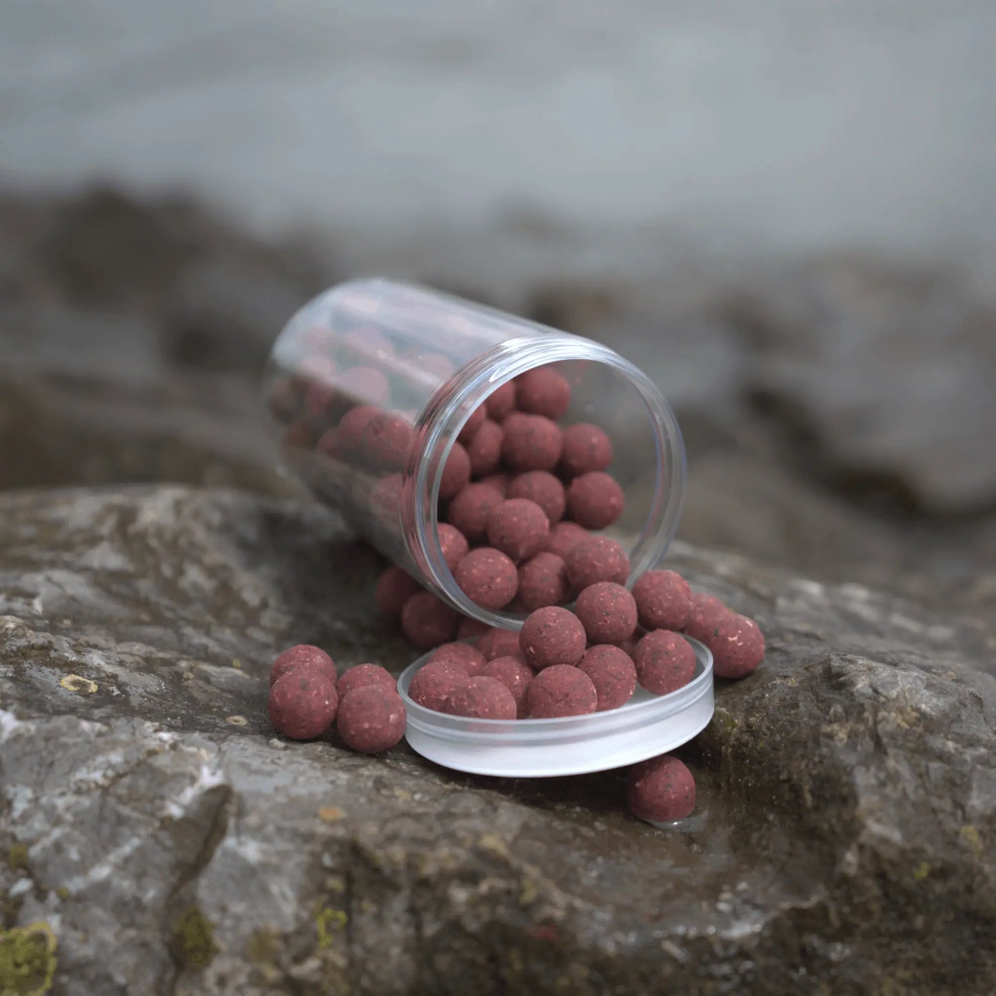 Spartan Hard Hookbaits My Store