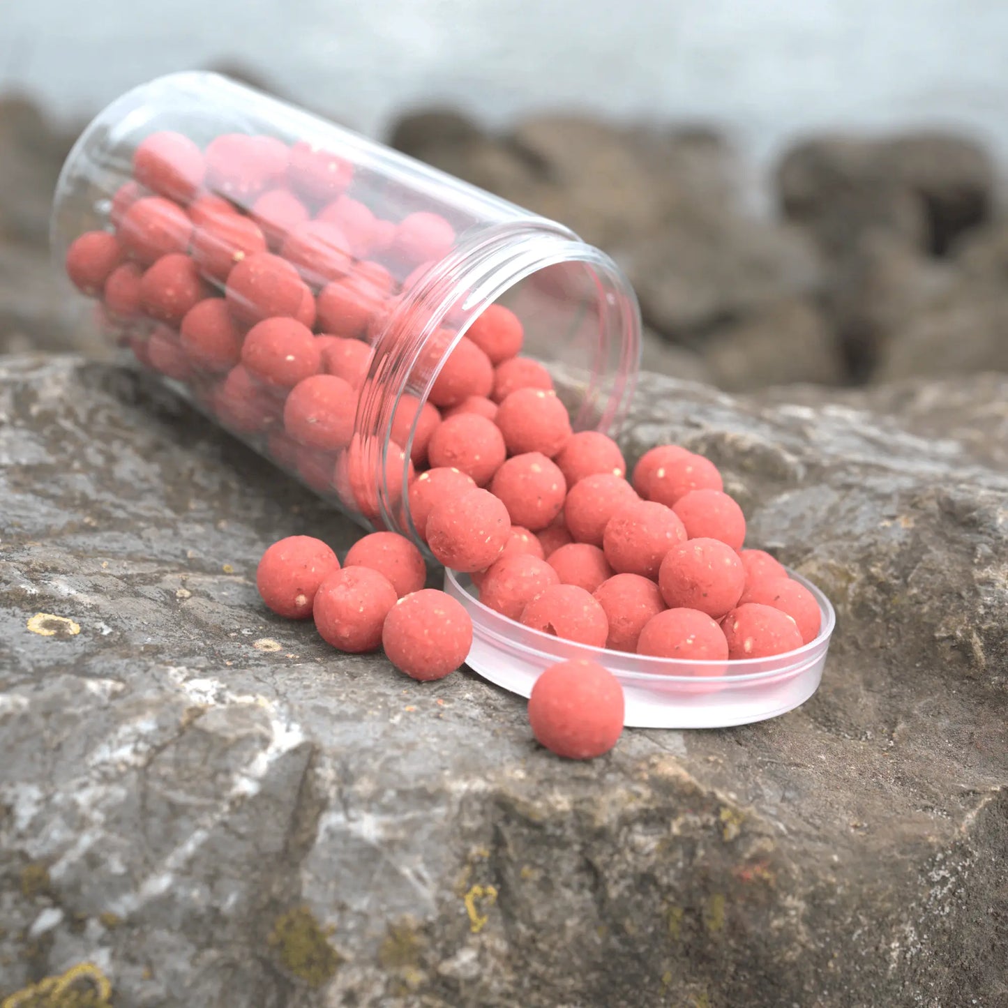 Berries Hard Hookbaits My Store