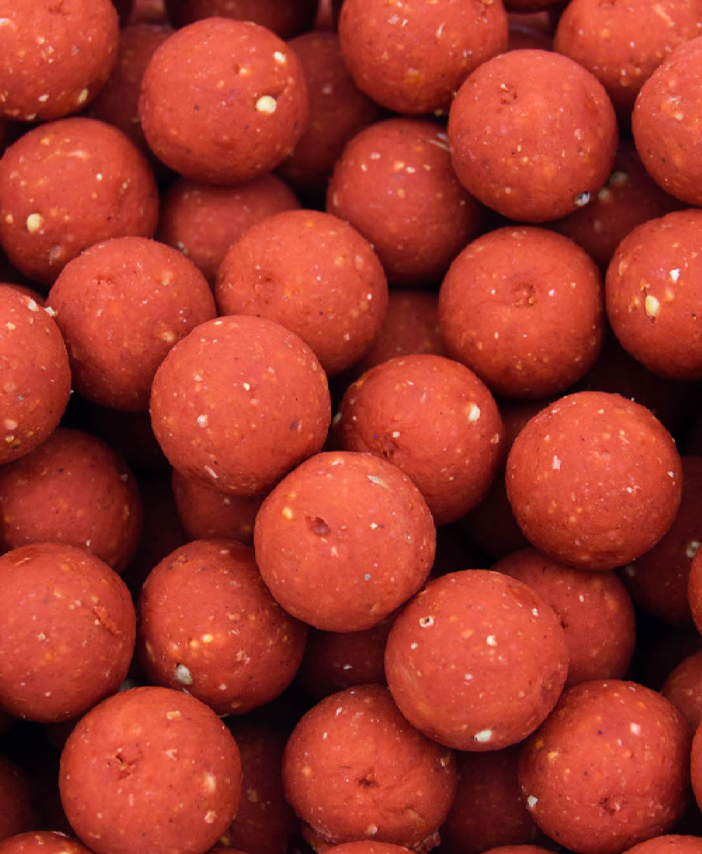Berries Boilies