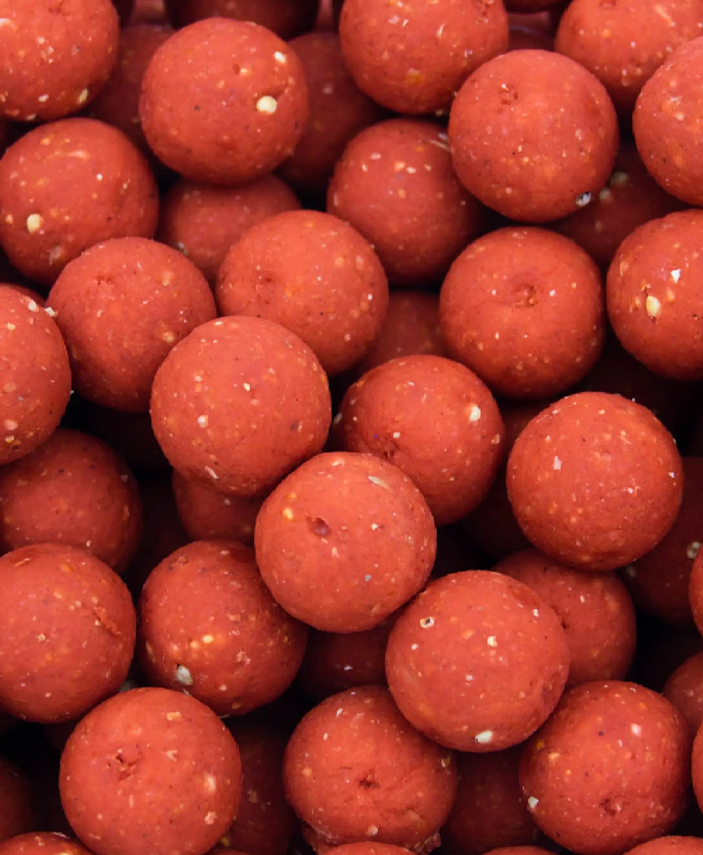 Berries Boilies My Store