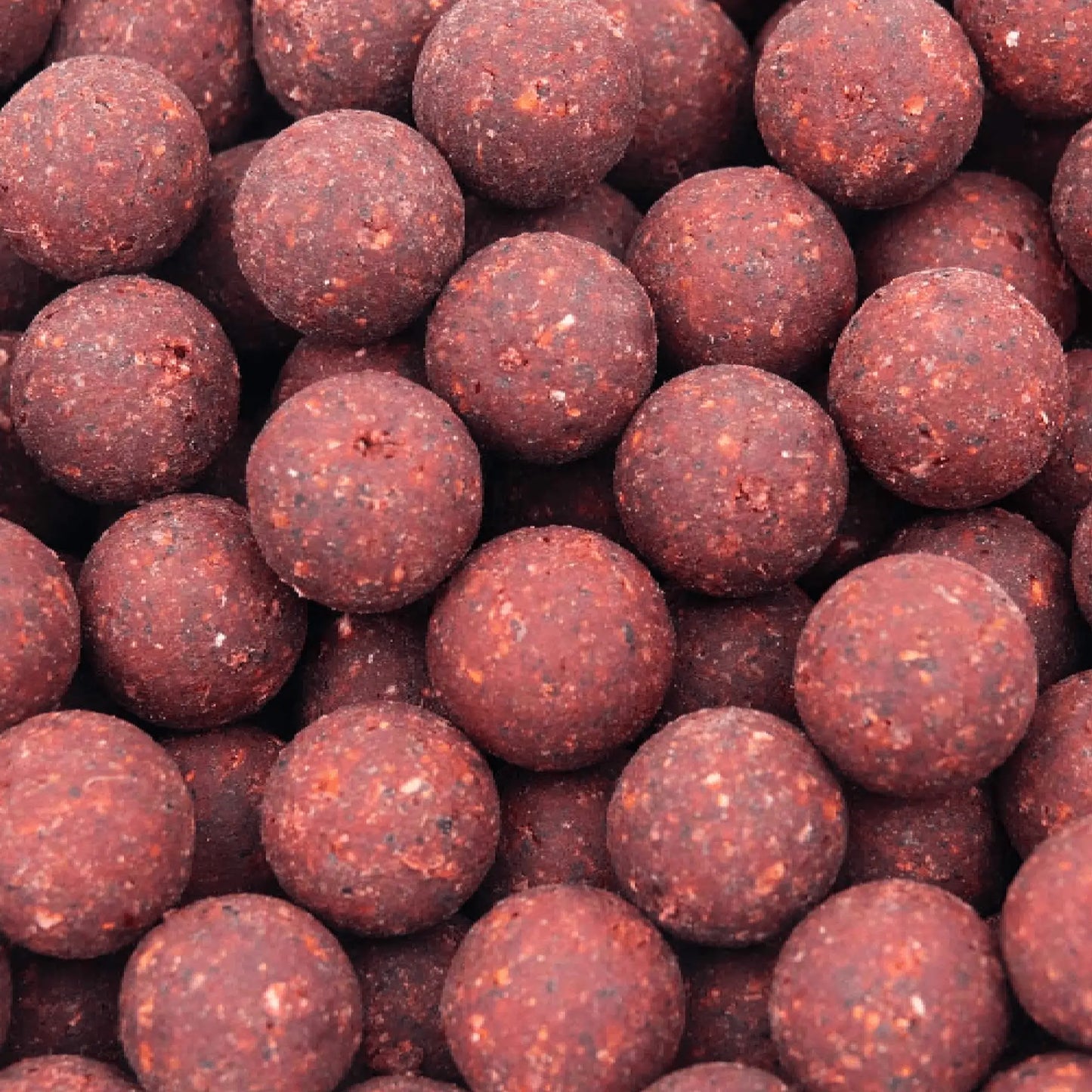 Spartan Boilies My Store