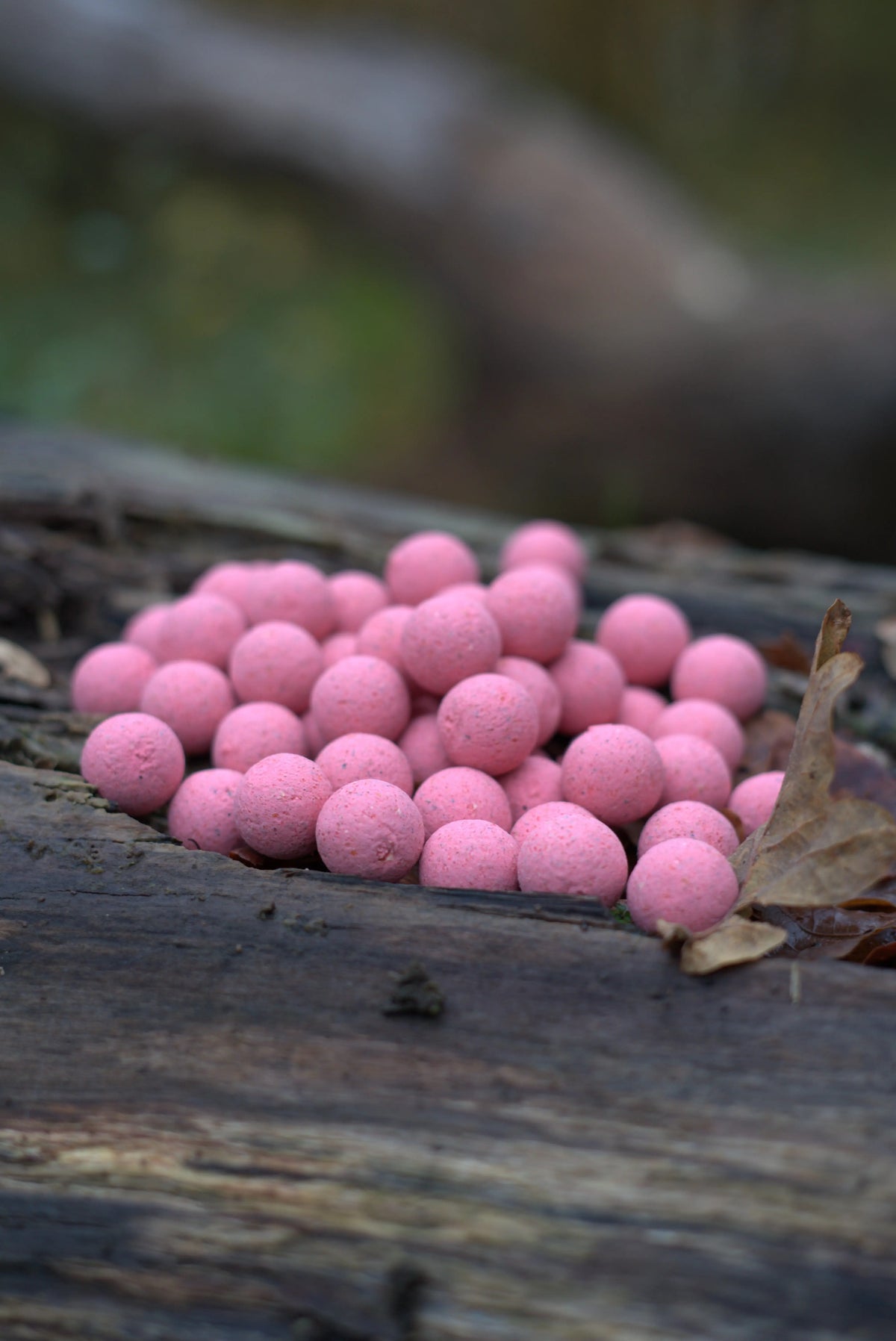 Fruity Icecream boilies van Cuyten Boilies voor karpervissen
