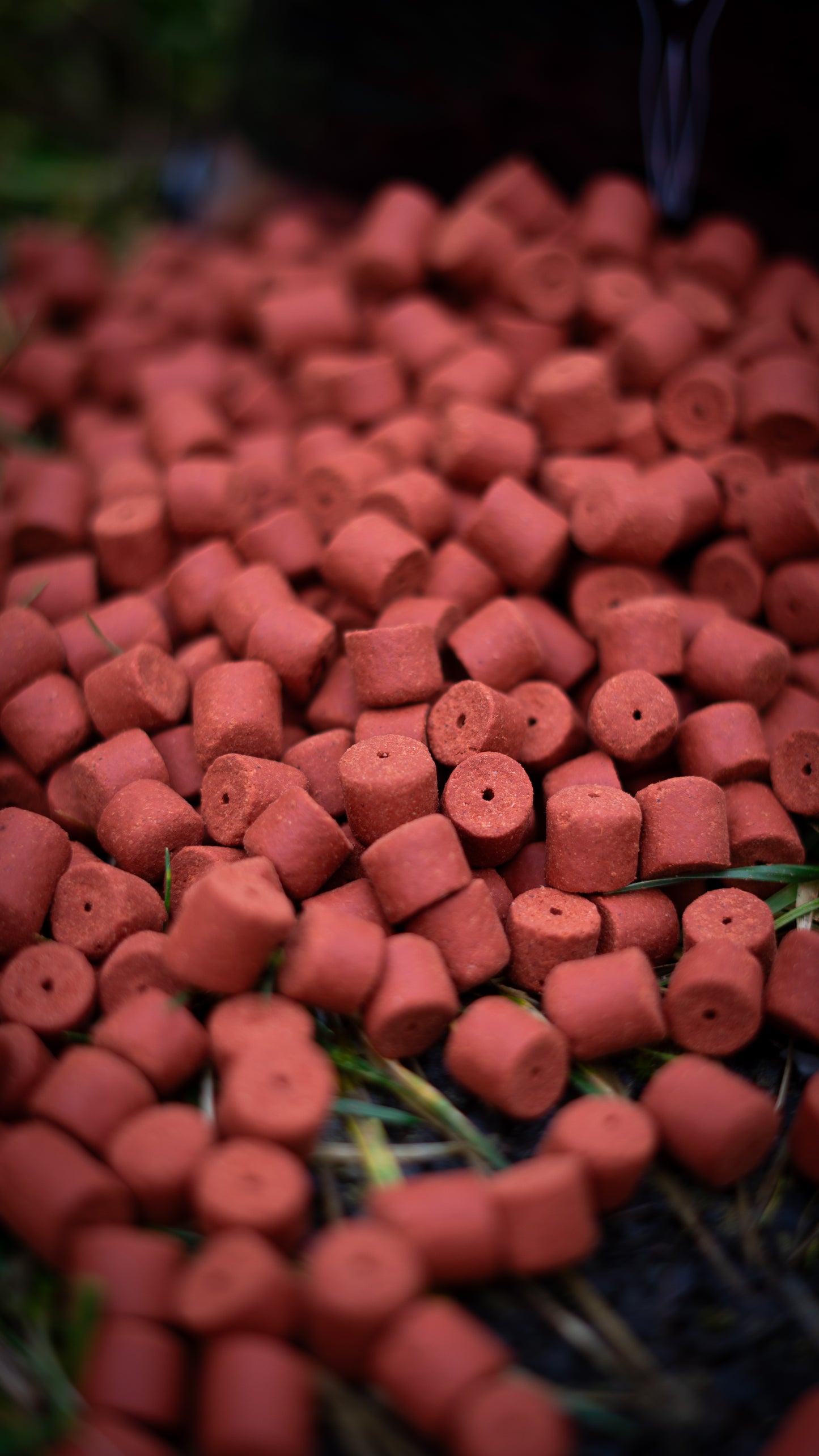 Fruity Icecream Pellets