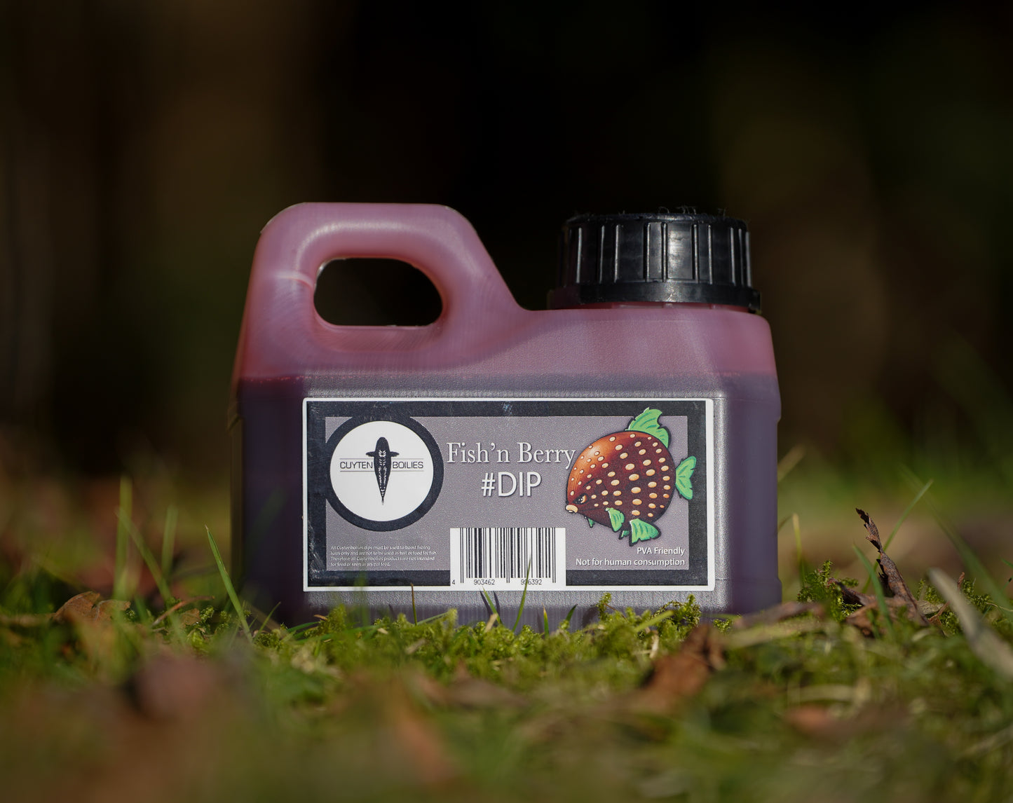 ⁠Fish’n Berry Dip