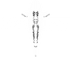 Cuyten Boilies