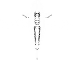 Cuyten Boilies